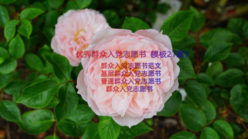 优秀群众入党志愿书（模板21篇）