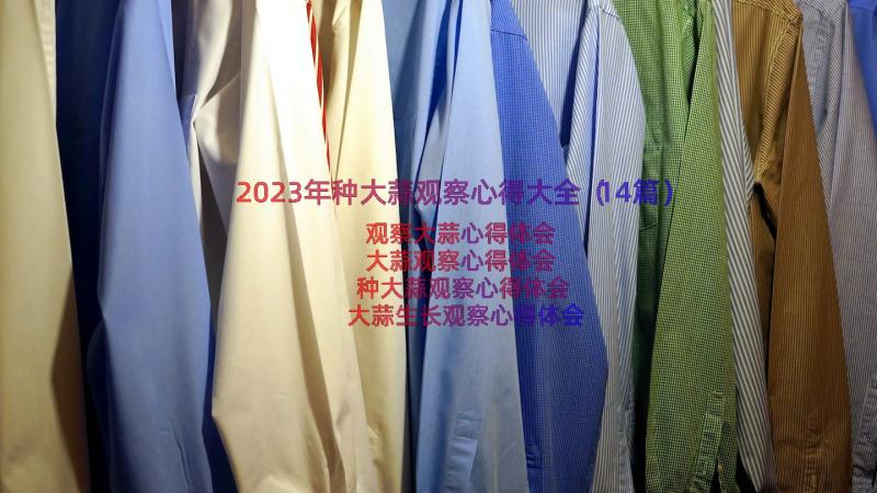 2023年种大蒜观察心得大全（14篇）