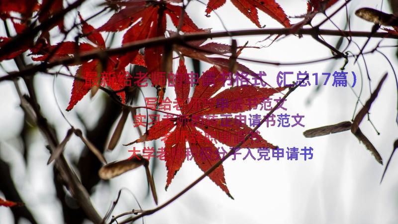 最新给老师的申请书格式（汇总17篇）