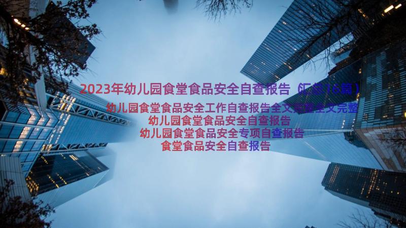 2023年幼儿园食堂食品安全自查报告（汇总16篇）