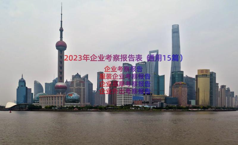 2023年企业考察报告表（通用15篇）