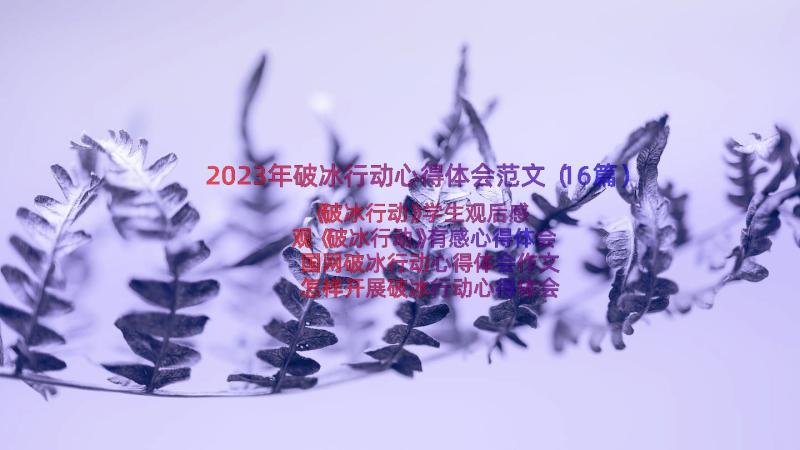 2023年破冰行动心得体会范文（16篇）