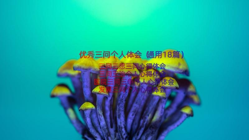 优秀三问个人体会（通用18篇）