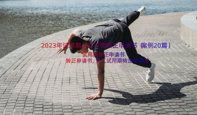 2023年试用期公安干警转正申请书（案例20篇）