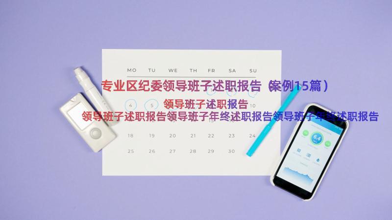 专业区纪委领导班子述职报告（案例15篇）