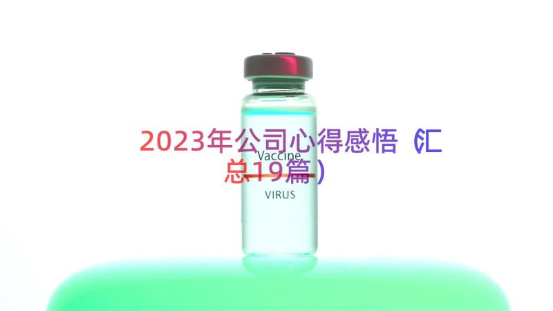 2023年公司心得感悟（汇总19篇）