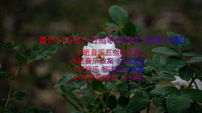 最热小班音乐五指歌教案表（通用19篇）