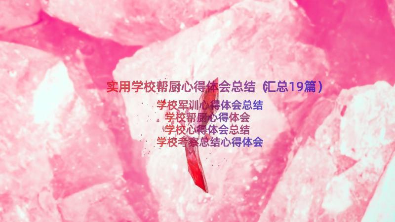 实用学校帮厨心得体会总结（汇总19篇）