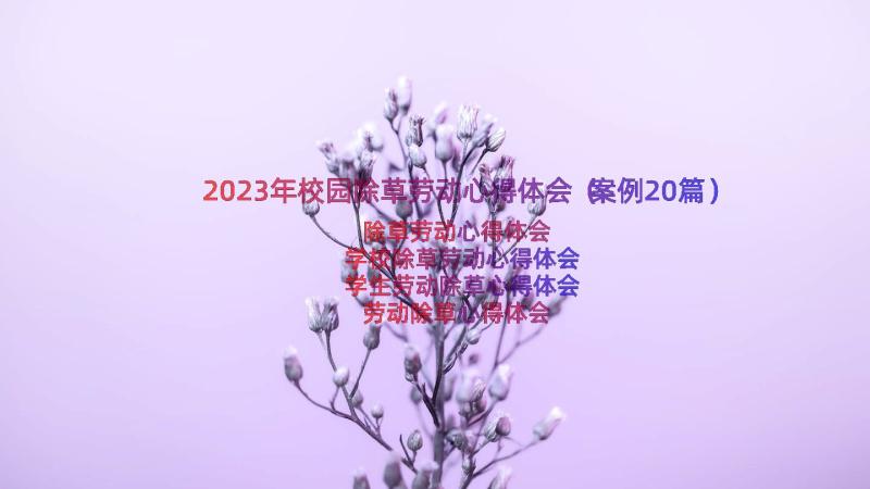 2023年校园除草劳动心得体会（案例20篇）