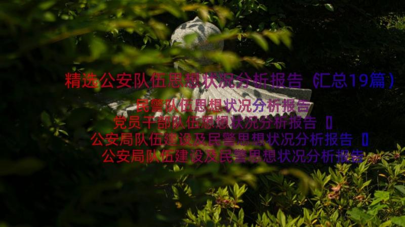 精选公安队伍思想状况分析报告（汇总19篇）