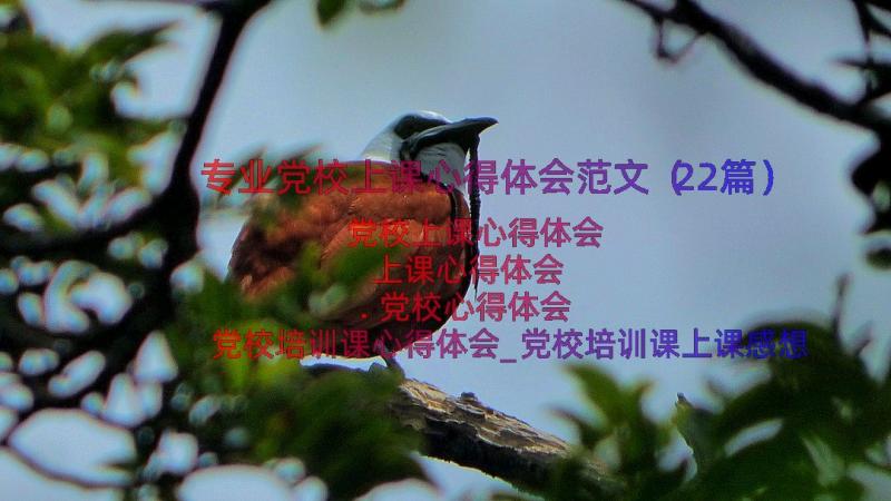 专业党校上课心得体会范文（22篇）