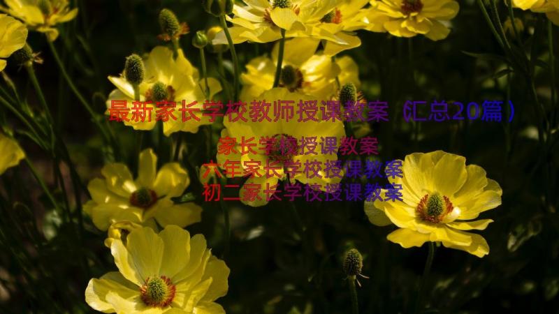 最新家长学校教师授课教案（汇总20篇）