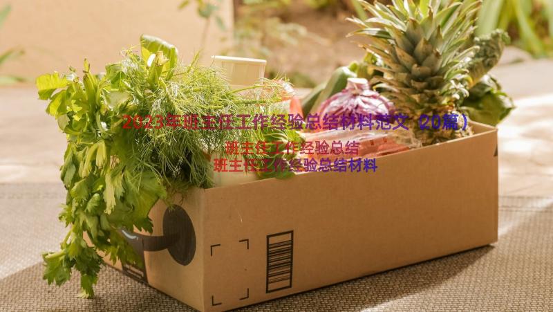 2023年班主任工作经验总结材料范文（20篇）