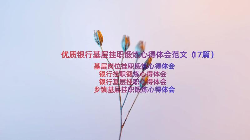 优质银行基层挂职锻炼心得体会范文（17篇）