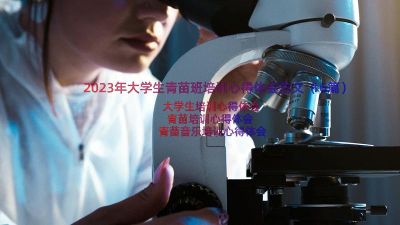 2023年大学生青苗班培训心得体会范文（16篇）