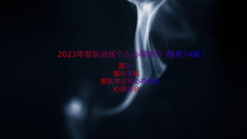 2023年部队训练个人心得体会（通用14篇）