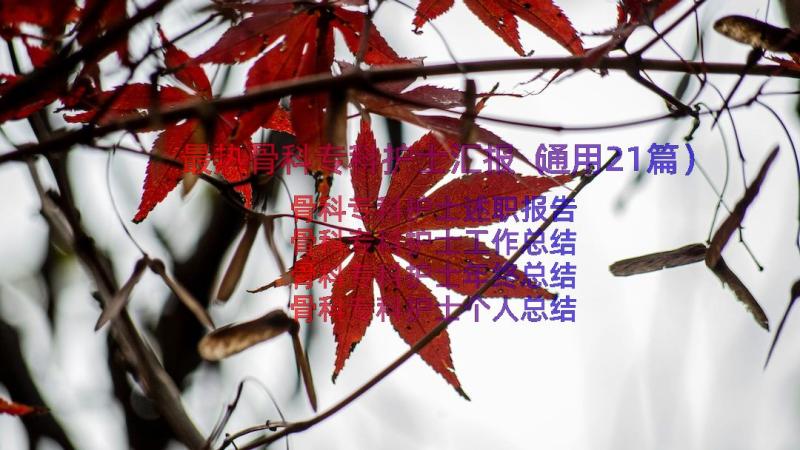 最热骨科专科护士汇报（通用21篇）