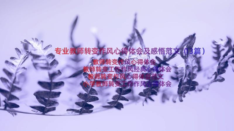 专业教师转变作风心得体会及感悟范文（13篇）