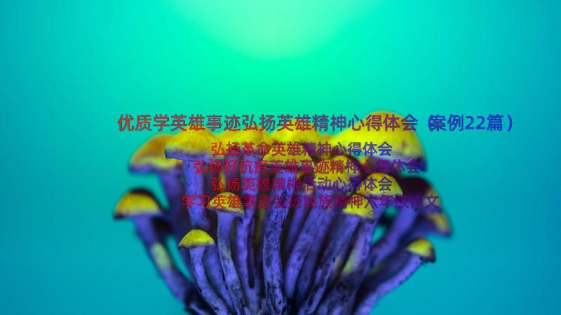 优质学英雄事迹弘扬英雄精神心得体会（案例22篇）