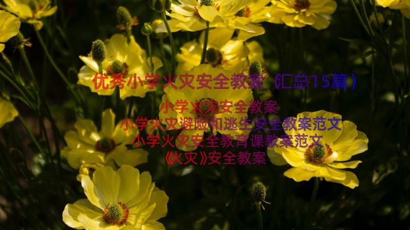 优秀小学火灾安全教案（汇总15篇）