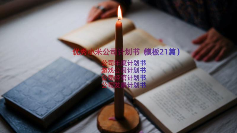 优秀小米公司计划书（模板21篇）