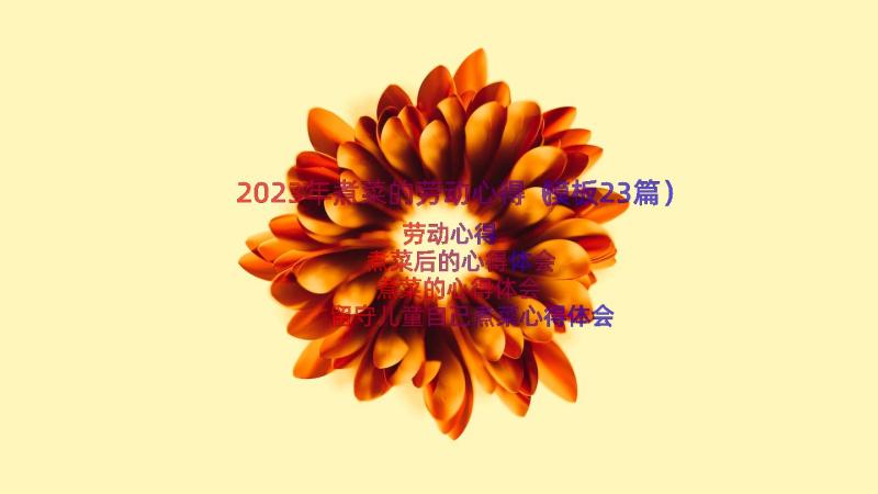 2023年煮菜的劳动心得（模板23篇）