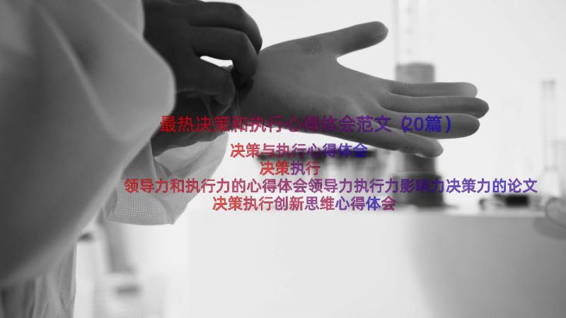 最热决策和执行心得体会范文（20篇）