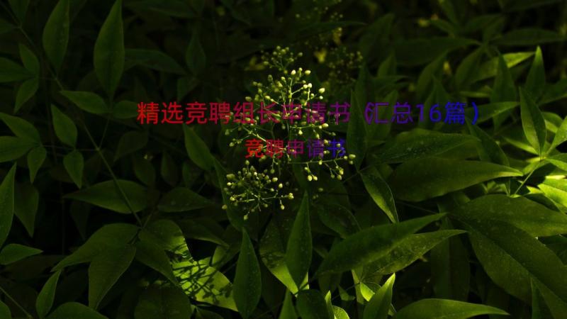 精选竞聘组长申请书（汇总16篇）