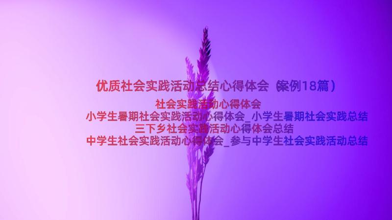 优质社会实践活动总结心得体会（案例18篇）