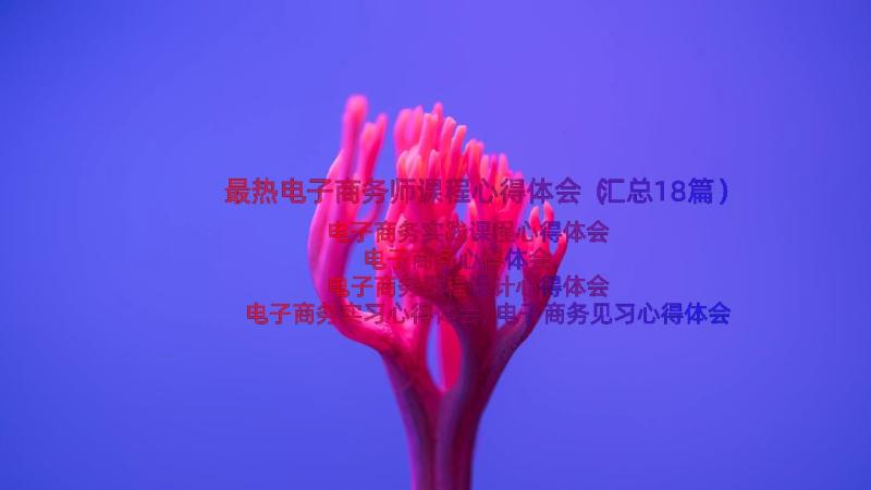 最热电子商务师课程心得体会（汇总18篇）