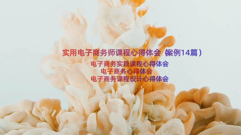 实用电子商务师课程心得体会（案例14篇）