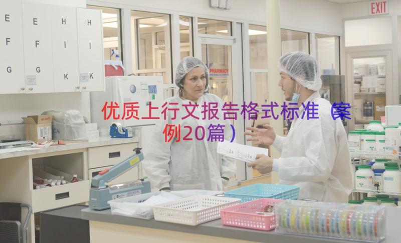 优质上行文报告格式标准（案例20篇）