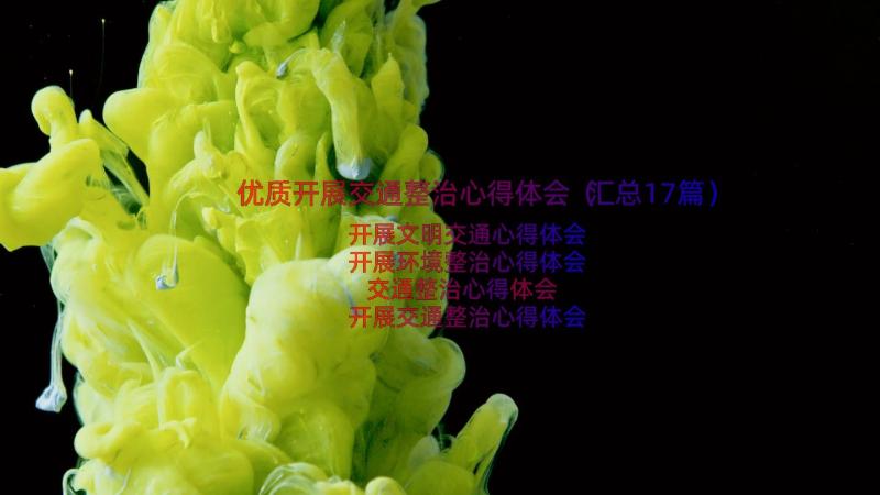 优质开展交通整治心得体会（汇总17篇）