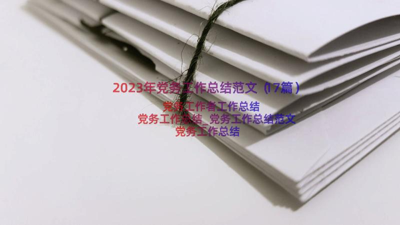 2023年党务工作总结范文（17篇）