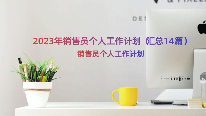 2023年销售员个人工作计划（汇总14篇）