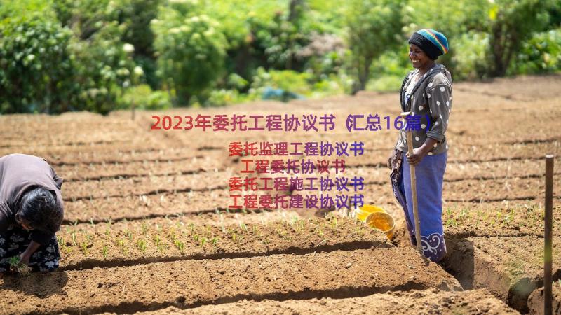 2023年委托工程协议书（汇总16篇）