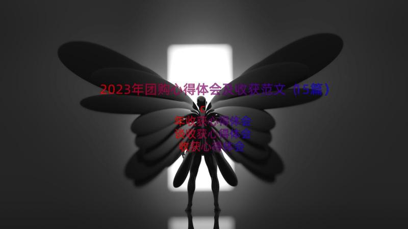 2023年团购心得体会及收获范文（15篇）