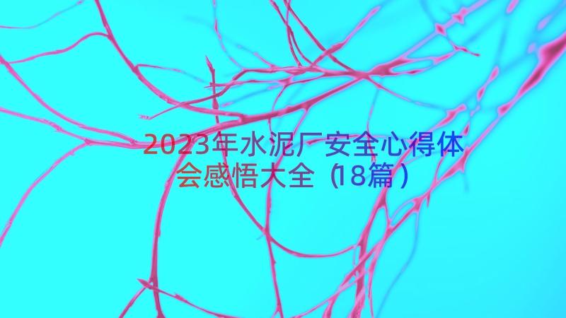 2023年水泥厂安全心得体会感悟大全（18篇）