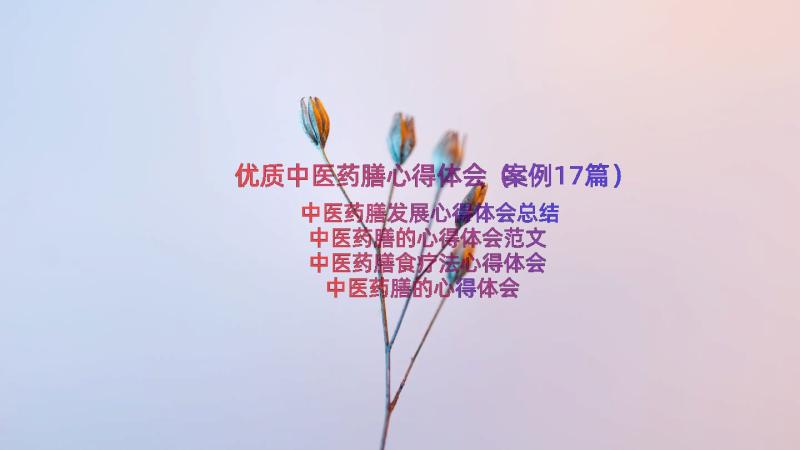 优质中医药膳心得体会（案例17篇）