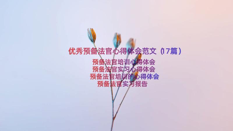 优秀预备法官心得体会范文（17篇）