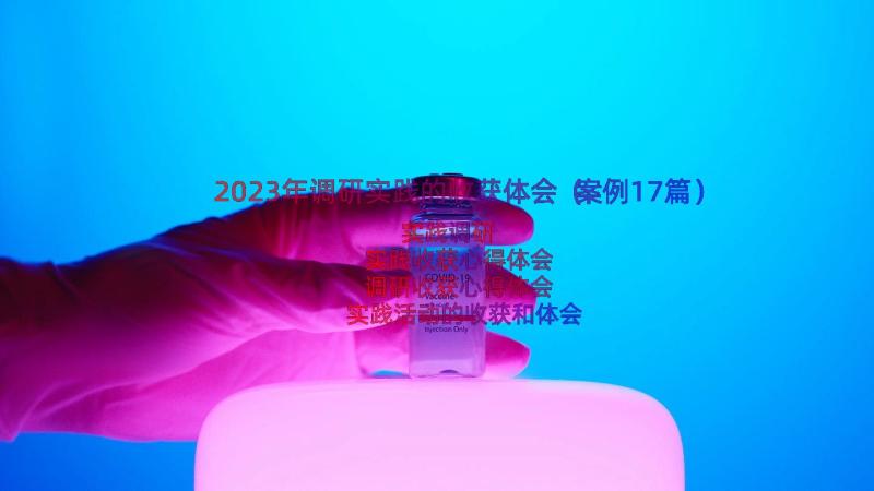 2023年调研实践的收获体会（案例17篇）