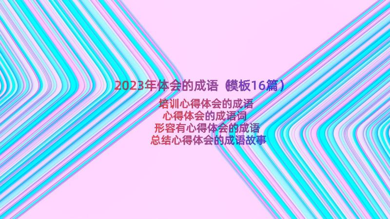 2023年体会的成语（模板16篇）