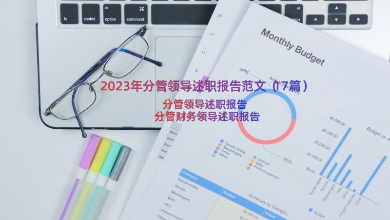 2023年分管领导述职报告范文（17篇）