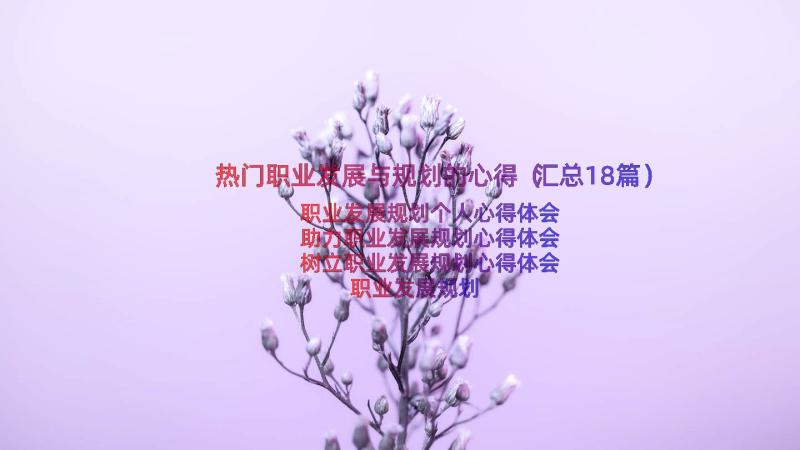 热门职业发展与规划的心得（汇总18篇）