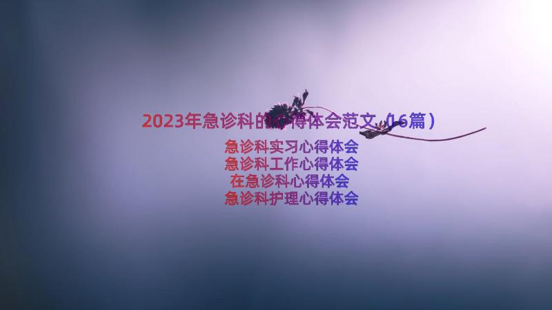 2023年急诊科的心得体会范文（16篇）