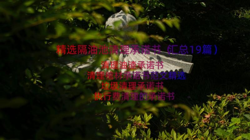 精选隔油池清理承诺书（汇总19篇）