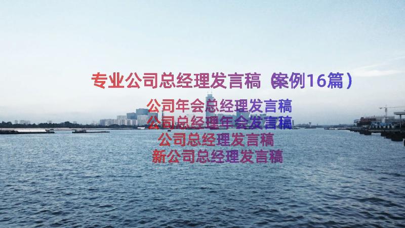 专业公司总经理发言稿（案例16篇）