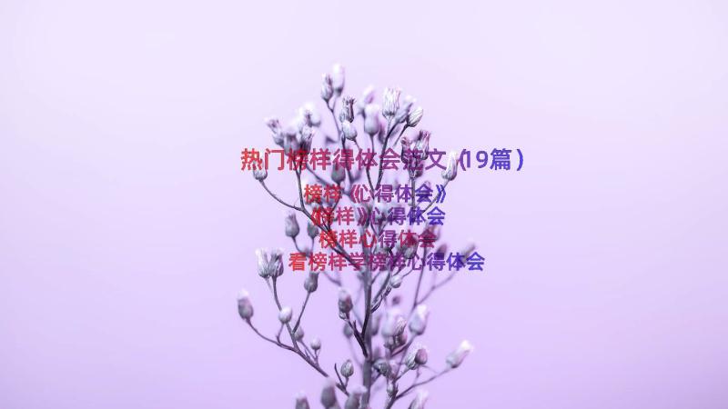 热门榜样得体会范文（19篇）