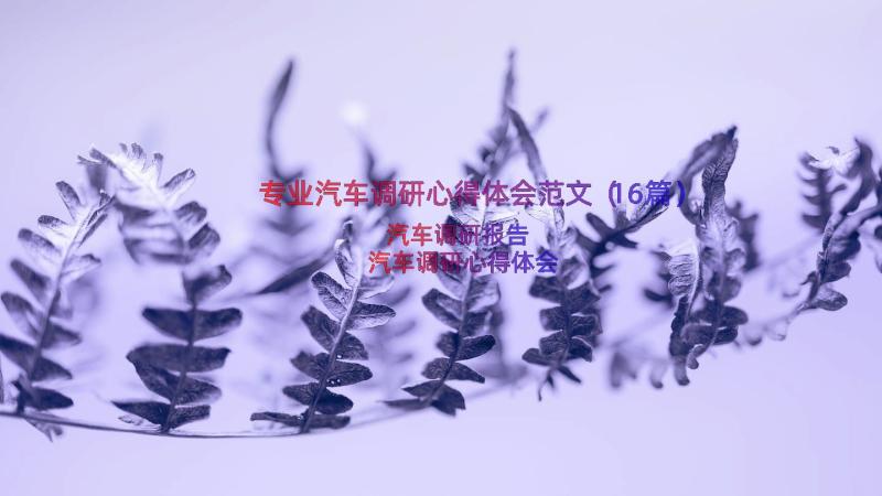 专业汽车调研心得体会范文（16篇）