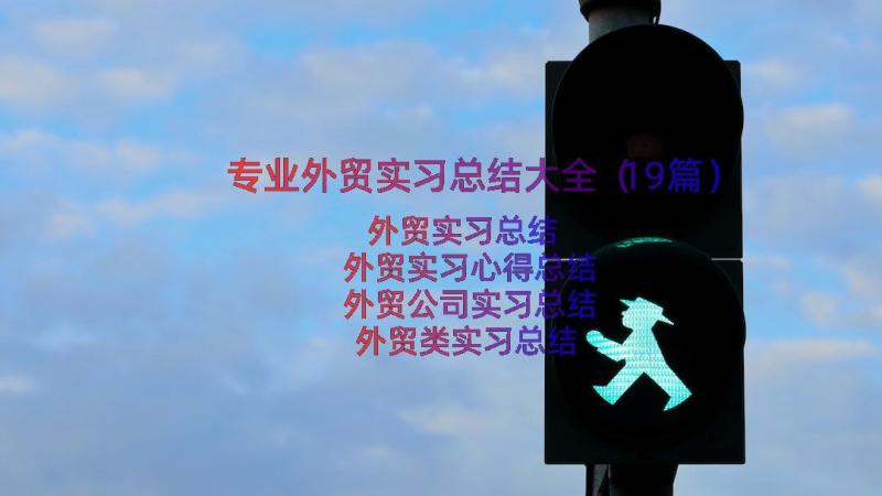 专业外贸实习总结大全（19篇）